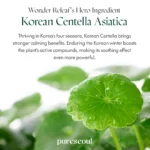 Purito SEOUL - Wonder Releaf Centella Daily Sun Lotion 60ml - Image 4