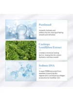 Dr.Althea Aqua Glowing Sunscreen - Image 4